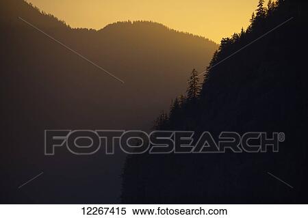 Sunset colours the skies and back lights the trees and hills in the Khutzymateen Bear Sanctuary; British Columbia, Canada View Large Photo Image Stock Photography - Sunset colours the skies and back lights the trees and hills in the Khutzymateen Bear Sanctuary; British Columbia, Canada. Fotosearch