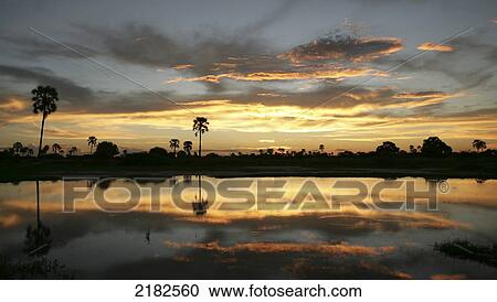 SUNSET IN THE OKAVANGO DELTA BOTSWANA View Large Photo Image Stock Image - SUNSET IN THE OKAVANGO DELTA BOTSWANA. Fotosearch
