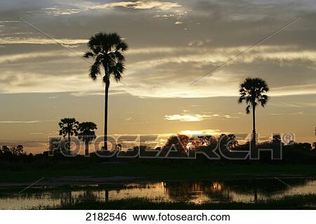 SUNSET IN THE OKAVANGO DELTA BOTSWANA View Large Photo Image Stock Photograph - SUNSET IN THE OKAVANGO DELTA BOTSWANA. Fotosearch