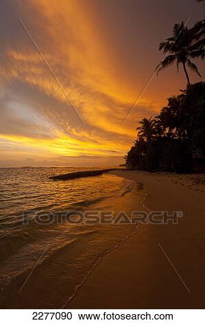 Stock Image - Sunset on beach, Thalpe, near Unawatuna, Sri Lanka.. Fotosearch