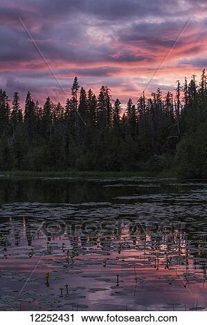 Sunset over a small beaver pond along the Yellowhead Highway near Smithers; British Columbia, Canada View Large Photo Image Stock Image - Sunset over a small beaver pond along the Yellowhead Highway near Smithers; British Columbia, Canada. Fotosearch