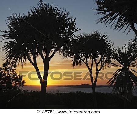 Sunset Over Annet Island Viewed From St Mary's, Isles Of Scilly, Cornwall, Uk, Europe View Large Photo Image Stock Image - Sunset Over Annet Island Viewed From St Mary's, Isles Of Scilly, Cornwall, Uk, Europe. Fotosearch