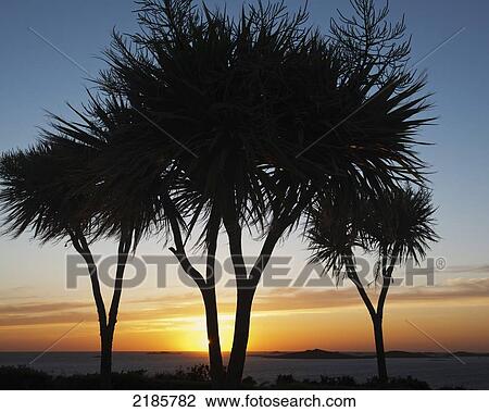 Stock Image - Sunset Over Annet Island Viewed From St Mary's, Isles Of Scilly, Cornwall, Uk, Europe. Fotosearch