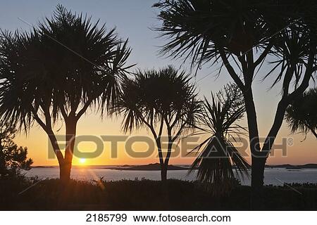 Stock Photo - Sunset Over Annet Island Viewed From St Mary's, Isles Of Scilly, Cornwall, Uk, Europe. Fotosearch