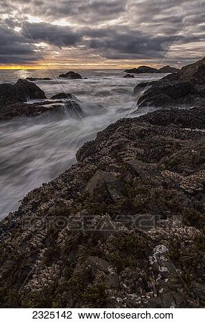 Stock Image - Sunset Over Ocean At Sunset And High Tide; Ucluelet Vancouver Island British Columbia Canada. Fotosearch