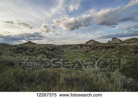 Stock Photography - Sunset over the grasslands at Dinosaur Provincial Park; Alberta, Canada. Fotosearch