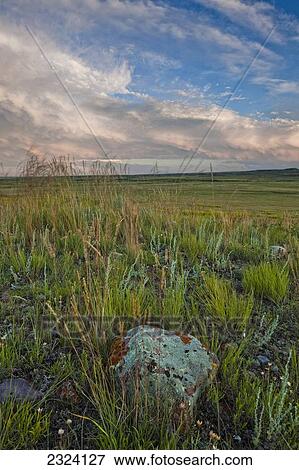 Sunset over the prairies in Grasslands National Park; Saskatchewan, Canada View Large Photo Image Stock Photo - Sunset over the prairies in Grasslands National Park; Saskatchewan, Canada. Fotosearch