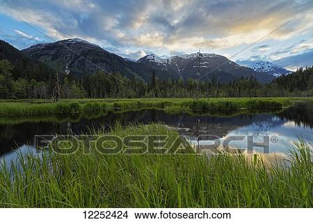 Picture - Sunset over the Tongass National Forest, near Hyder; Alaska, United States of America. Fotosearch