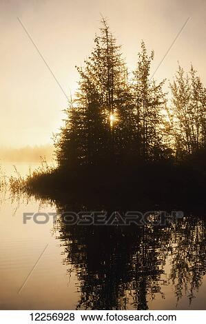 Sunset view of trees reflected in Chena Lake, Delta Junction, Interior Alaska View Large Photo Image Stock Photo - Sunset view of trees reflected in Chena Lake, Delta Junction, Interior Alaska. Fotosearch