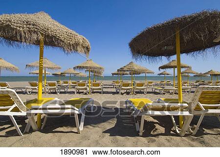 Stock Image - Sunshades And Sunloungers On Empty Beach. Fotosearch