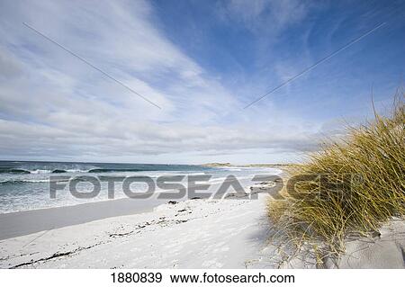 Stock Photo - Surf Bay Close To Port Stanley. Fotosearch