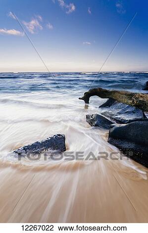 Stock Image - Surf washing up around driftwood and rocks; Wailua, Kauai, Hawaii, United States of America. Fotosearch