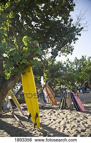 Stock Photograph - Surfboards On Legian Beach. Fotosearch