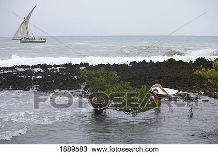 Stock Image - Surfer Carrying Boat Out To See With Dhow In Background. Fotosearch