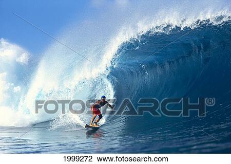 Surfer Catches Big Wave Curling Behind, Liam View Large Photo Image Stock Image - Surfer Catches Big Wave Curling Behind, Liam. Fotosearch