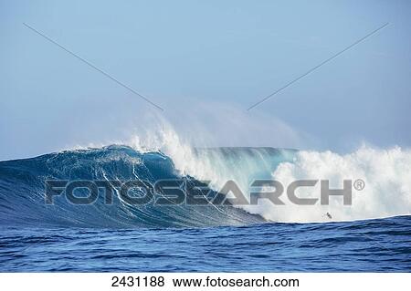 Stock Photo - Surfer on large ocean wave about to be taken over by white water while surfing at the infamous big wave spot know as Jaws or Peahi; Maui, Hawaii, United States of America. Fotosearch