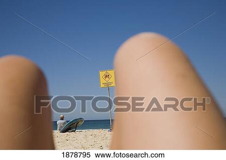 Surfer Viewed Through Womans Legs Lying On Bondi Beach View Large Photo Image Stock Photography - Surfer Viewed Through Womans Legs Lying On Bondi Beach. Fotosearch