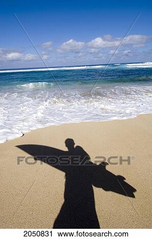 Stock Image - Surfers Shadow On Beach, Maui, Hawaii. Fotosearch