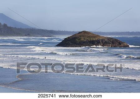 Surfers Surf In The Waves At Long Beach In Pacific Rim National Park Near Tofino; British Columbia Canada View Large Photo Image Stock Image - Surfers Surf In The Waves At Long Beach In Pacific Rim National Park Near Tofino; British Columbia Canada. Fotosearch