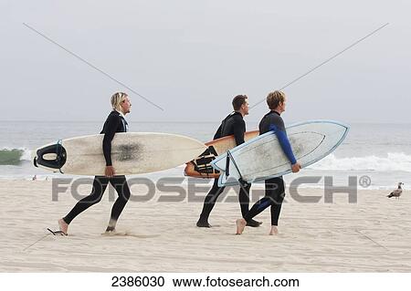 Stock Image - Surfers walking on the beach carrying their surfboards; California, United States of America. Fotosearch