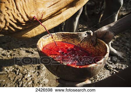 Stock Photo - Suri (Surma) tribe cattle herder with bowl for collecting cattle blood, Omo region, Southwest Ethiopia; Kibish, Ethiopia. Fotosearch