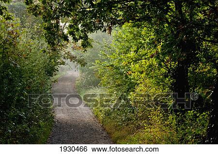 Surrey, Uk View Large Photo Image Stock Photograph - Surrey, Uk. Fotosearch