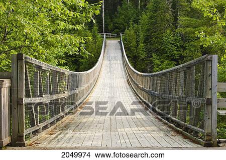 Picture - Suspension Bridge Over Rimouski River, Hell's Gate Canyon, Bas-Saint-Laurent Region, Saint-Narcisse-De-Rimouski, Quebec. Fotosearch
