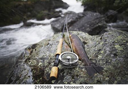 Stock Photo - Sweden, Brown trout and fishing rod on rock; Miekak Lapland. Fotosearch