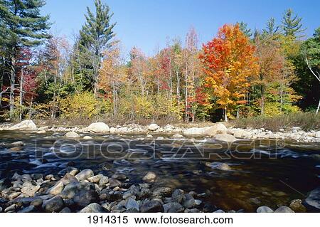 Swift River View Large Photo Image Stock Photography - Swift River. Fotosearch