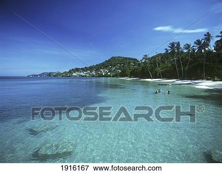 Stock Photo - Swimming At Grand Anse Beach. Fotosearch