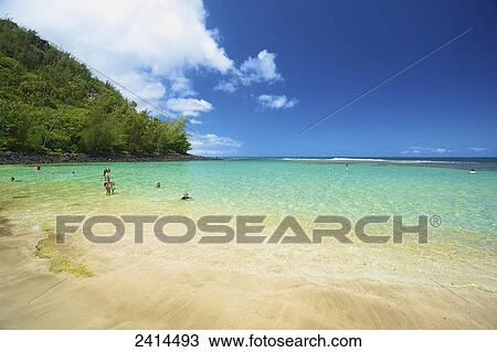 Swimming in the turquoise ocean off the coast of Kauai; Kauai, Hawaii, United States of America View Large Photo Image Stock Image - Swimming in the turquoise ocean off the coast of Kauai; Kauai, Hawaii, United States of America. Fotosearch