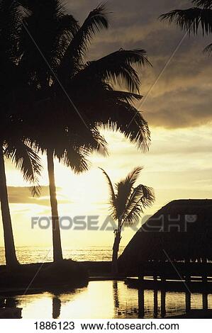 Stock Image - Swimming Pool And Palm Trees At Sunset By Coastline. Fotosearch