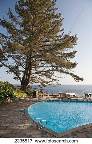 Stock Photo - Swimming Pool And Seascape In Background; California, Usa. Fotosearch