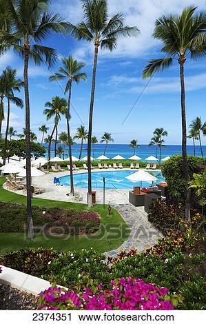 Swimming pool at a resort on the South Kohala Coast; Big Island, Hawaii, United States of America View Large Photo Image Stock Image - Swimming pool at a resort on the South Kohala Coast; Big Island, Hawaii, United States of America. Fotosearch