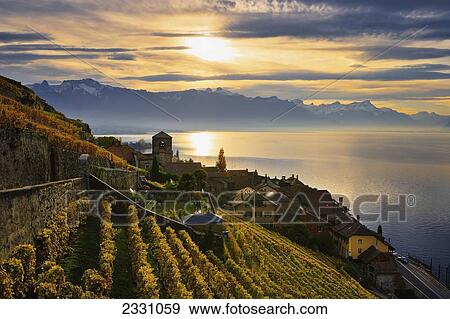 Switzerland, Lavaux Unesco World Heritage region, Vineyards; Saint-Saphorin View Large Photo Image Stock Photo - Switzerland, Lavaux Unesco World Heritage region, Vineyards; Saint-Saphorin. Fotosearch