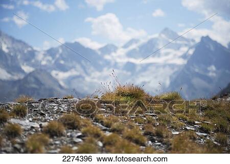 Stock Photograph - Switzerland, Val d'Anniviers, At the Col de Sorebois above Zinal with the Weisshorn in the distance; Zinal. Fotosearch
