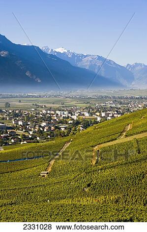 Stock Photo - Switzerland, Valais, Vineyards and village; Vetroz. Fotosearch