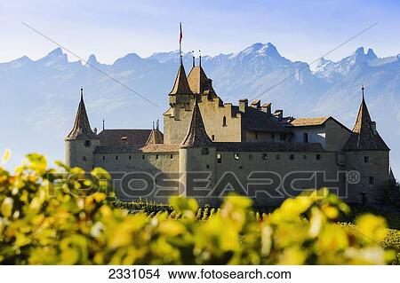Switzerland, Vineyards and castle; Aigle View Large Photo Image Picture - Switzerland, Vineyards and castle; Aigle. Fotosearch