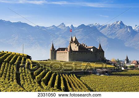 Stock Image - Switzerland, Vineyards and castle; Aigle. Fotosearch