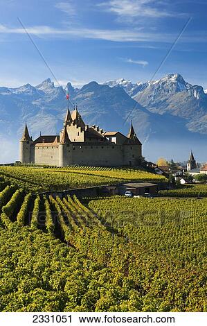 Switzerland, Vineyards and castle; Aigle View Large Photo Image Stock Image - Switzerland, Vineyards and castle; Aigle. Fotosearch