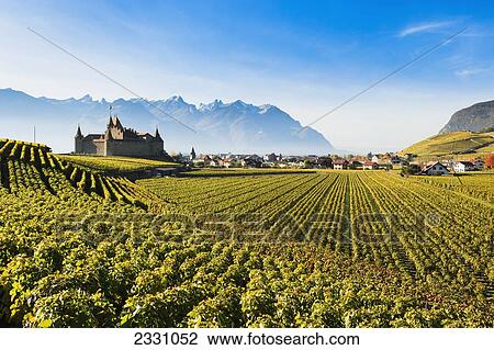 Stock Image - Switzerland, Vineyards and castle; Aigle. Fotosearch