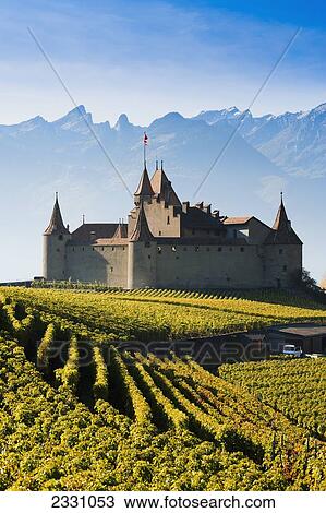 Stock Image - Switzerland, Vineyards and castle; Aigle. Fotosearch