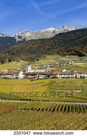 Stock Photo - Switzerland, Vineyards; Yvorne village. Fotosearch