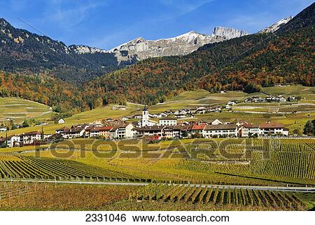 Switzerland, Vineyards; Yvorne village View Large Photo Image Stock Photograph - Switzerland, Vineyards; Yvorne village. Fotosearch