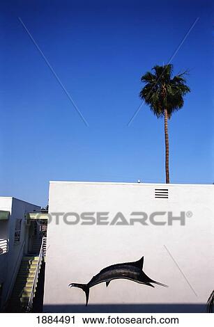 Swordfish Mural On A Pink Building With Palm Tree View Large Photo Image Stock Image - Swordfish Mural On A Pink Building With Palm Tree. Fotosearch