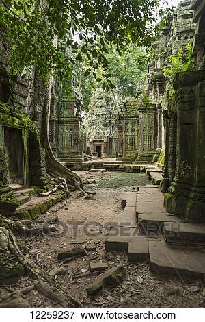 Stock Photo - Ta Prohm, impressive temple in Angkor area built in the twelfth century; Siem Reap, Cambodia. Fotosearch