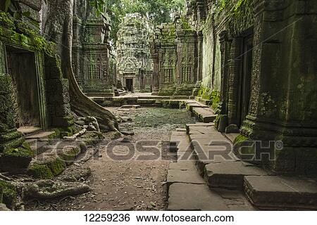 Ta Prohm, impressive temple in Angkor area built in the twelfth century; Siem Reap, Cambodia View Large Photo Image Stock Photograph - Ta Prohm, impressive temple in Angkor area built in the twelfth century; Siem Reap, Cambodia. Fotosearch