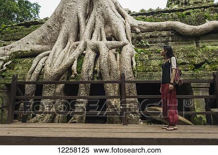 Stock Photography - Ta Prohm, impressive temple in Angkor area built in twelfth century; Siem Reap, Cambodia. Fotosearch