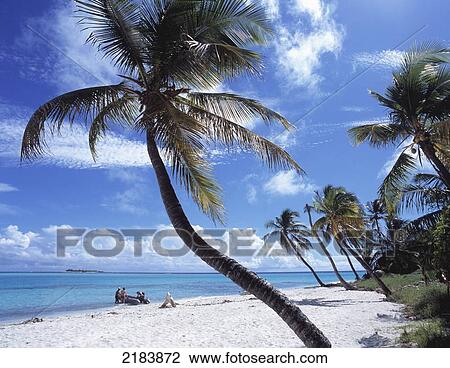 Stock Image - Tabago Cays, Grenadines. Fotosearch