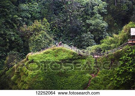 Picture - Tad Yuang waterfalls located in the Bolaven Plateau; Laos. Fotosearch
